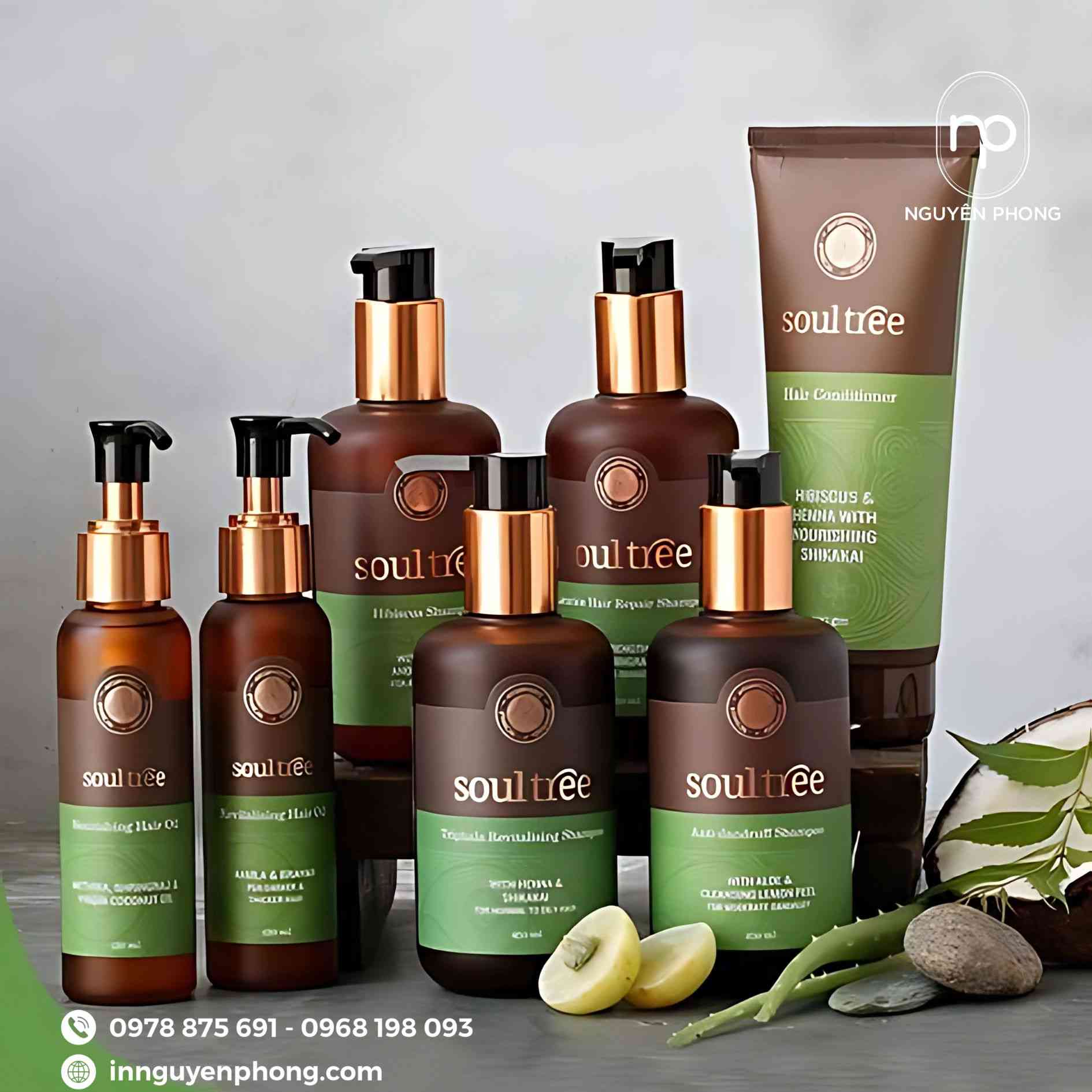Logo spa đẹp